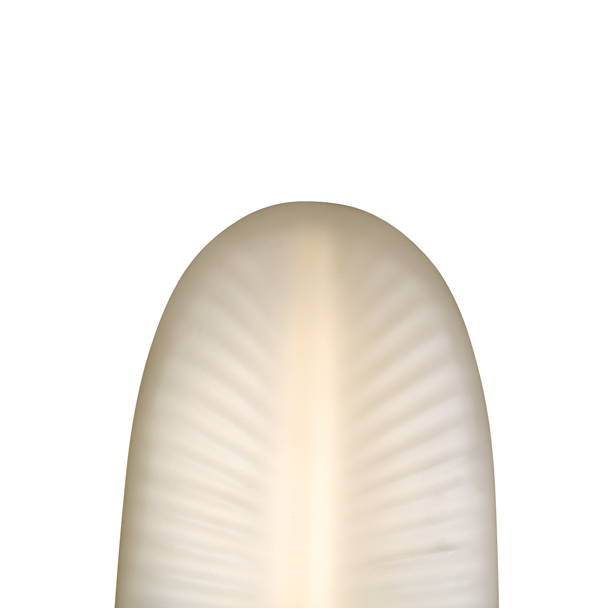imageSlider