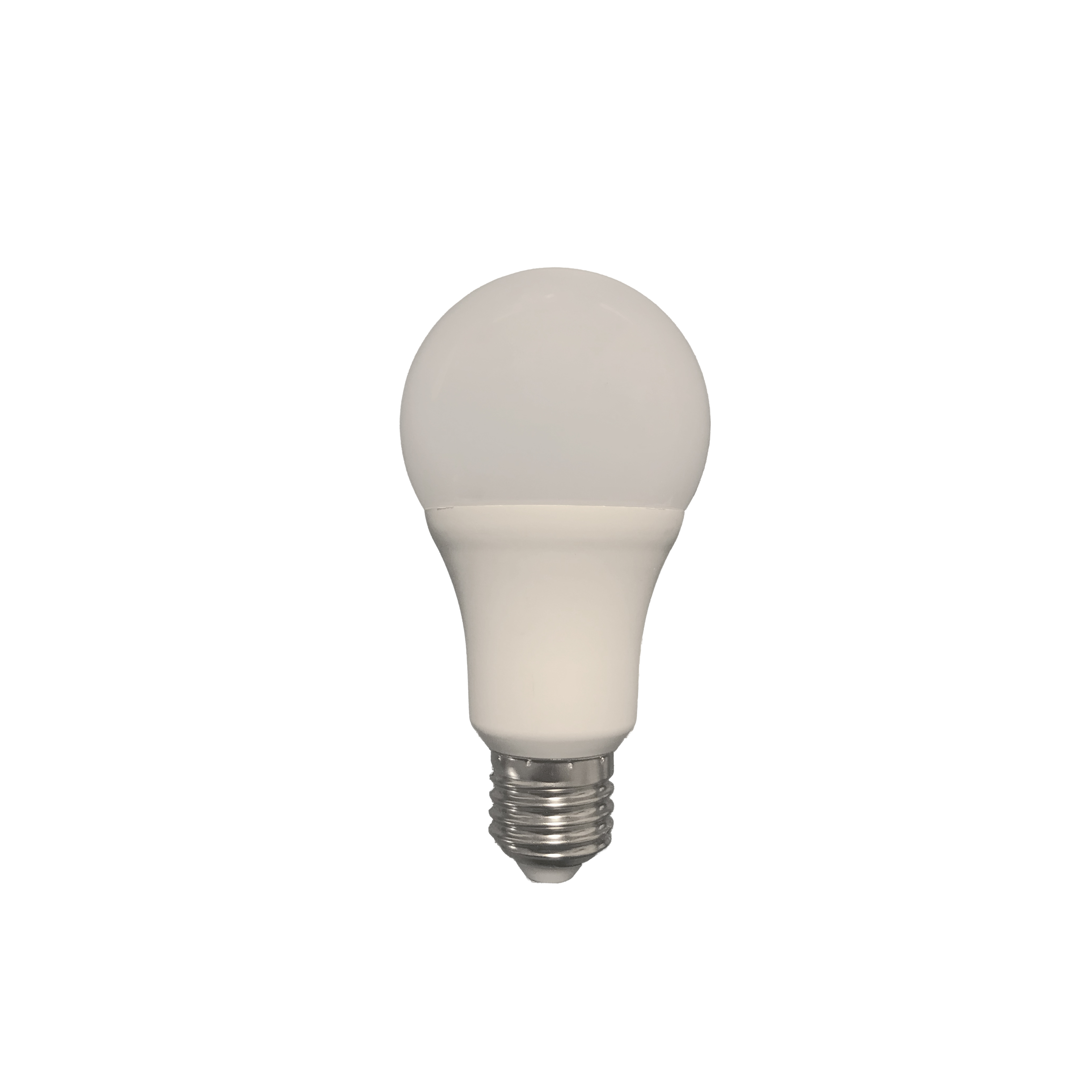 10W - A65 BULB E27